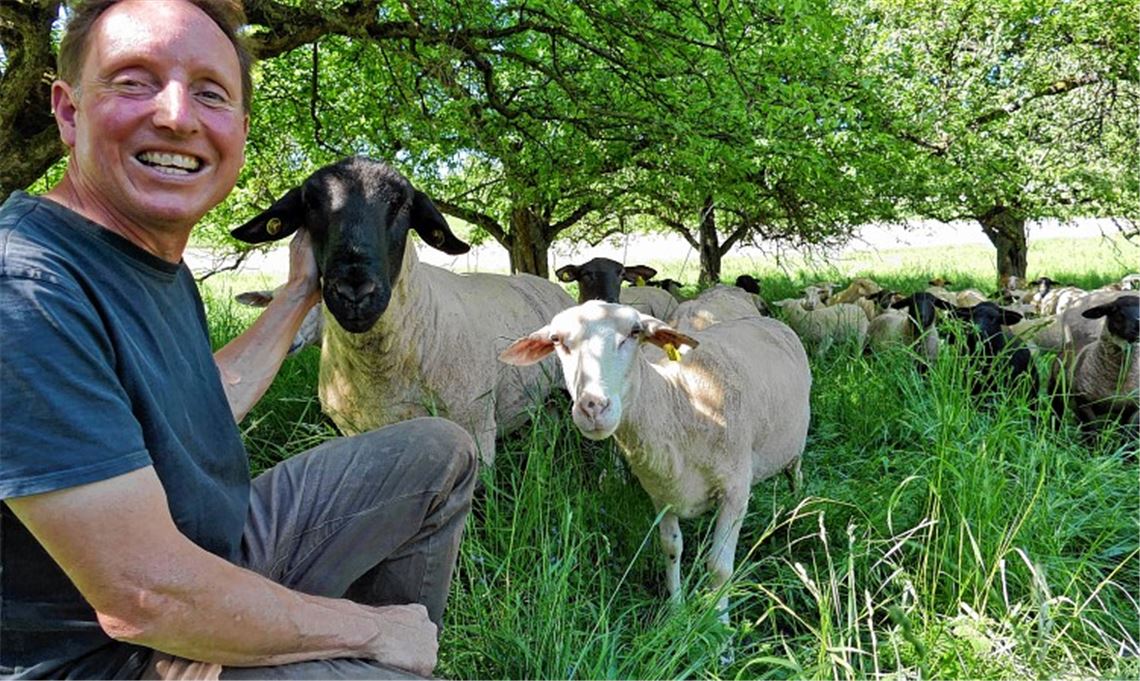 Schäfer muss mit dem Wolf leben
