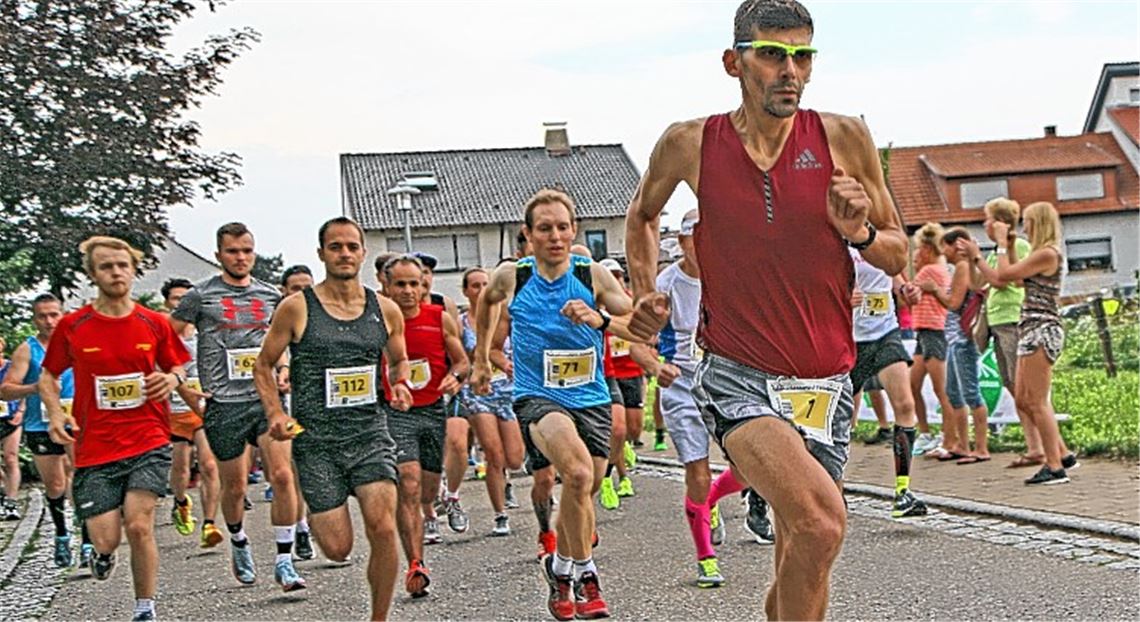 König Jens I. von Kieselbronn