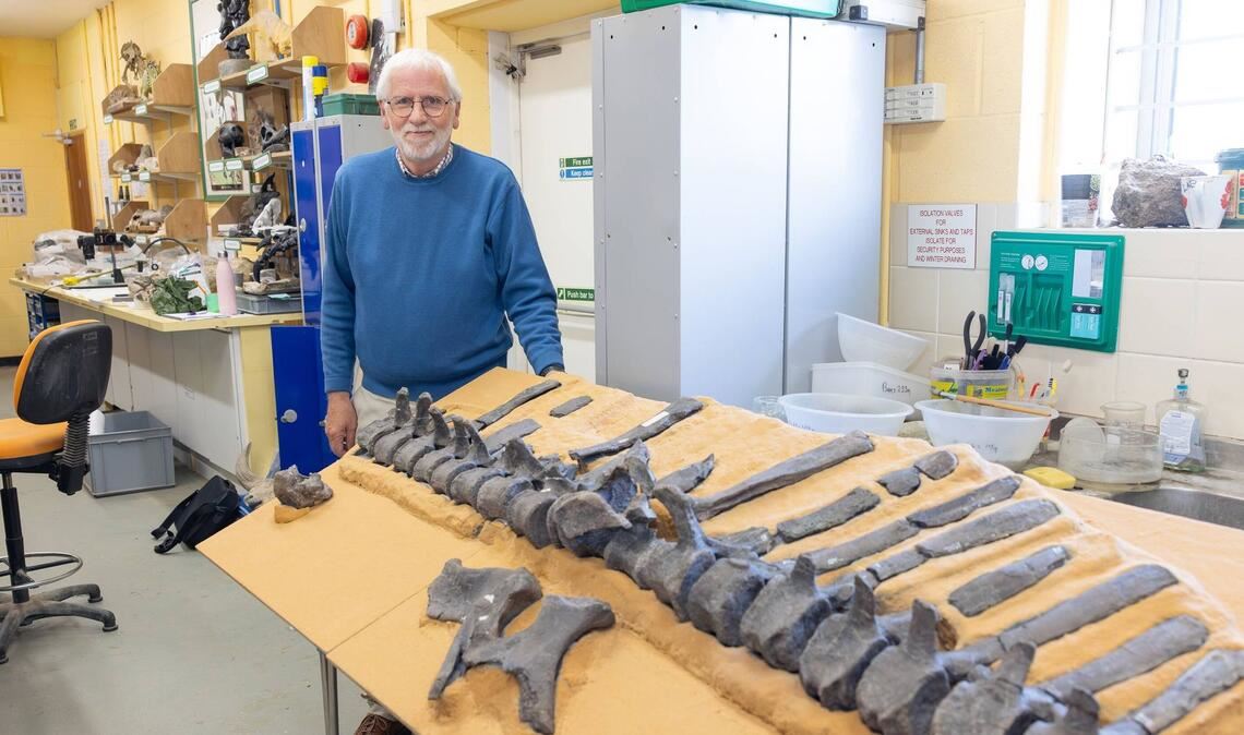 Dinosaurier mit Hautsegel entdeckt Jeremy Lockwood mit Fossilien von Istiorachis macarthurae