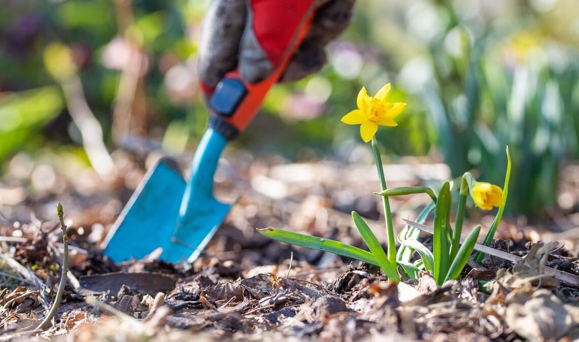 Jetzt ist Zeit für Gartenarbeit. (Symbolbild)