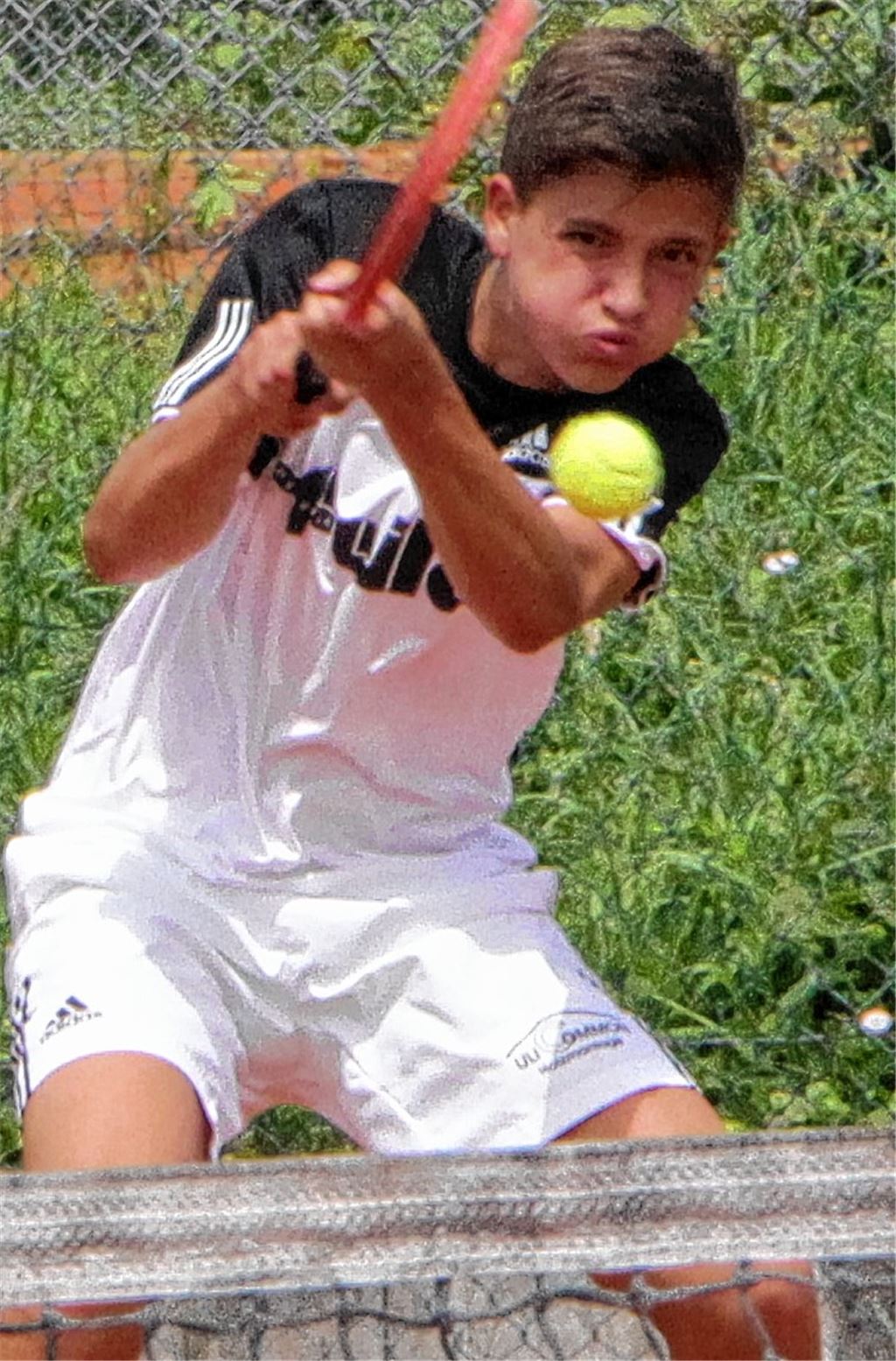 Auf dem Papier klarer Titelfavorit