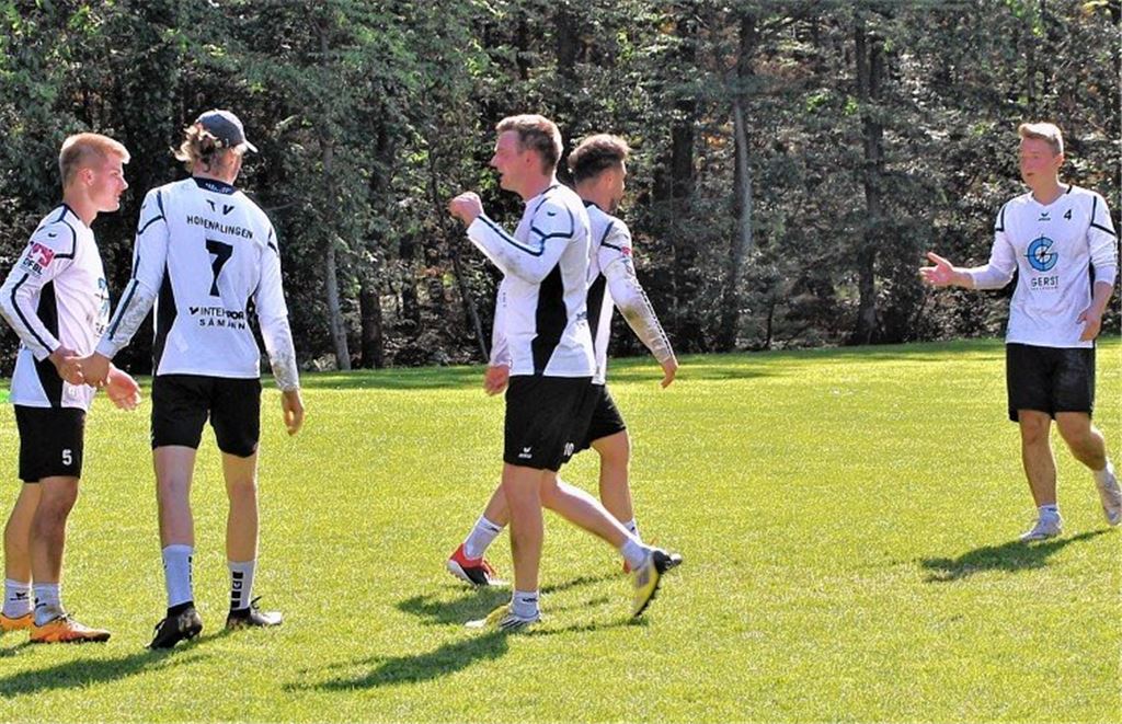 TVH setzt Berg- und Talfahrt fort