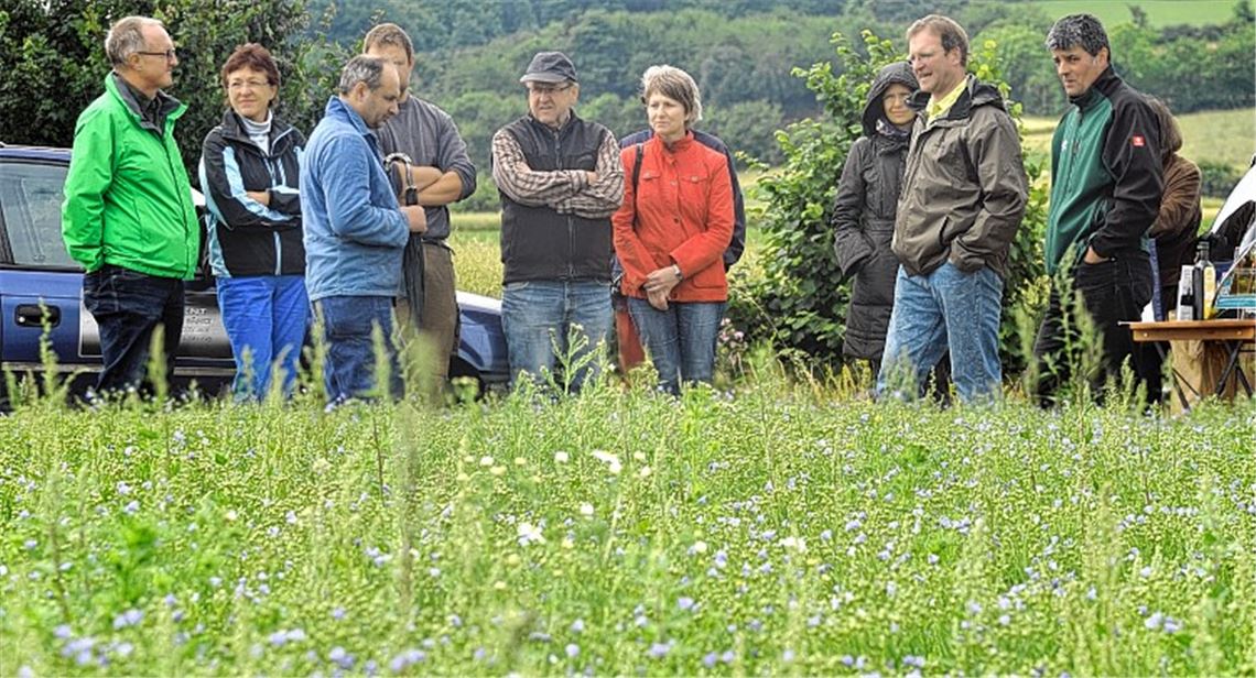 Jürgen Krauth (re.) und Frank Bäuerle (2.v.re.) informieren bei einer Feldbegehung über den Leinanbau. Foto: Fotomoment