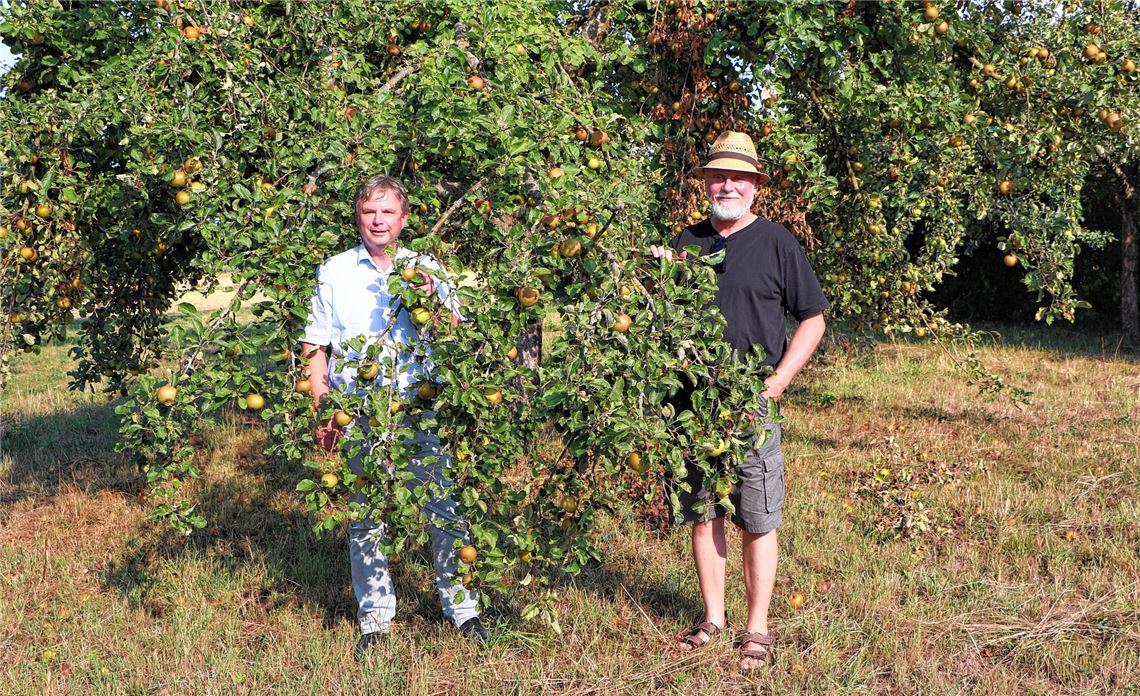 Jürgen Metzger, Vorsitzender des OGV Mühlacker, und Rolf Heinzelmann, Landesgeschäftsführer des Landesverbands für Obstbau, Garten und Landschaft, auf der Mühlacker Lehrwiese. Fotos: Willimek