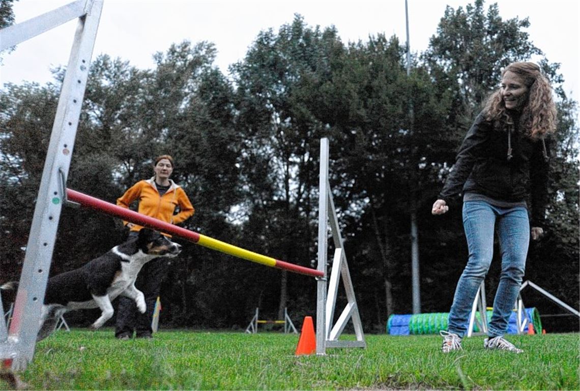 Auf den Hund gekommen