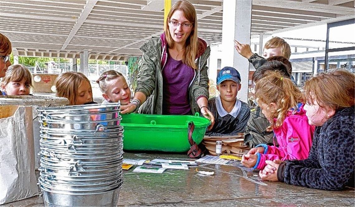 Neue Lebensräume für Biene, Falter & Co.