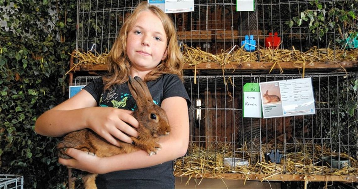 Julia Morlock ist erst zwölf, und hat selbst schon sechs Kaninchen. 