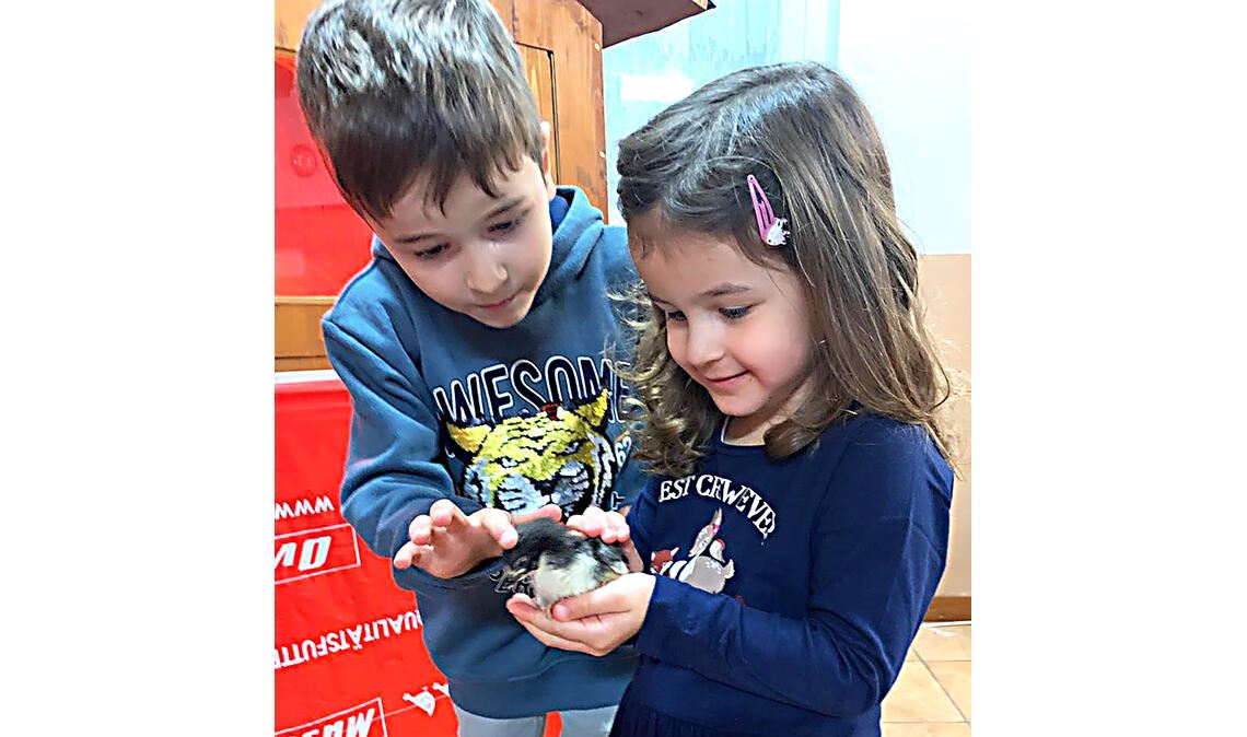 Junge Tiere faszinieren bei der Ausstellung in Knittlingen vor allem die Kinder. Foto: privat