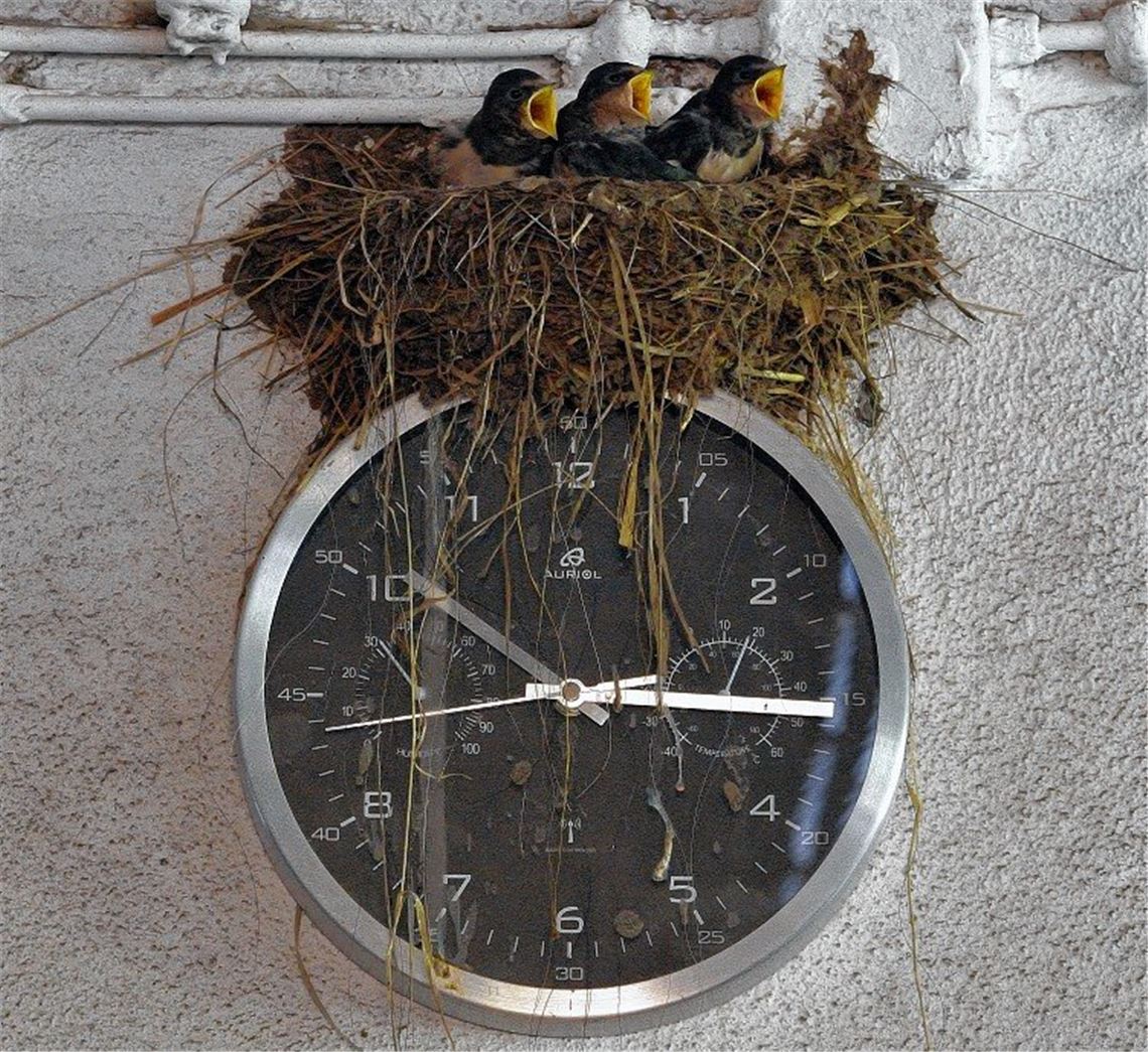 Sommerzeit