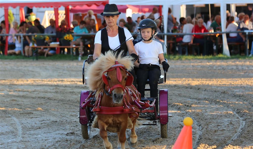 Jutta Pelz aus Mühlacker mit Minishetty-Wallach Speedy (linkes Bild), rechts Wolf-Dieter Iding, 85 Jahre alt und sein Friesen-Wallach Wybe, 16 Jahre. RFV Kämpfelbachtal. Foto: Faulhaber