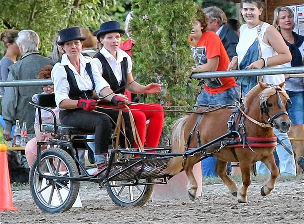 Gespannfahrer messen ihre Kräfte