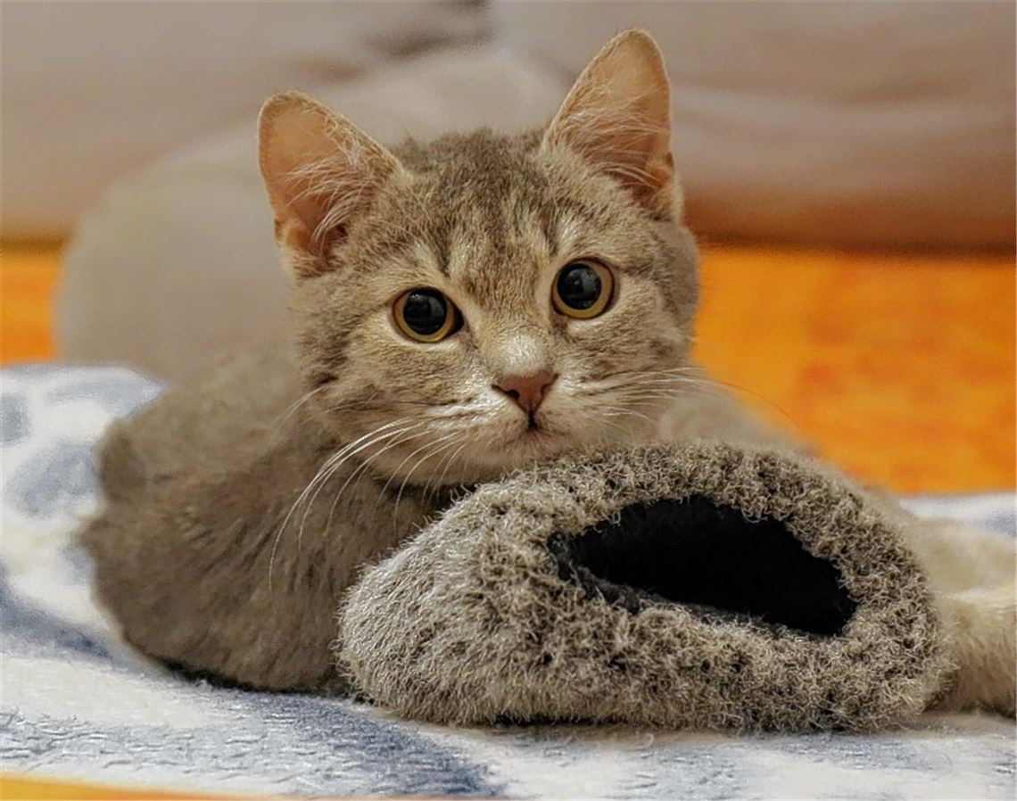 Das Glück liegt auf der Straße
