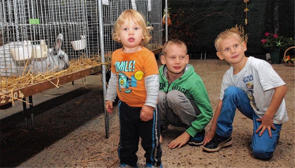 Illingen und Lomersheim suchen ihre „Superzüchter“