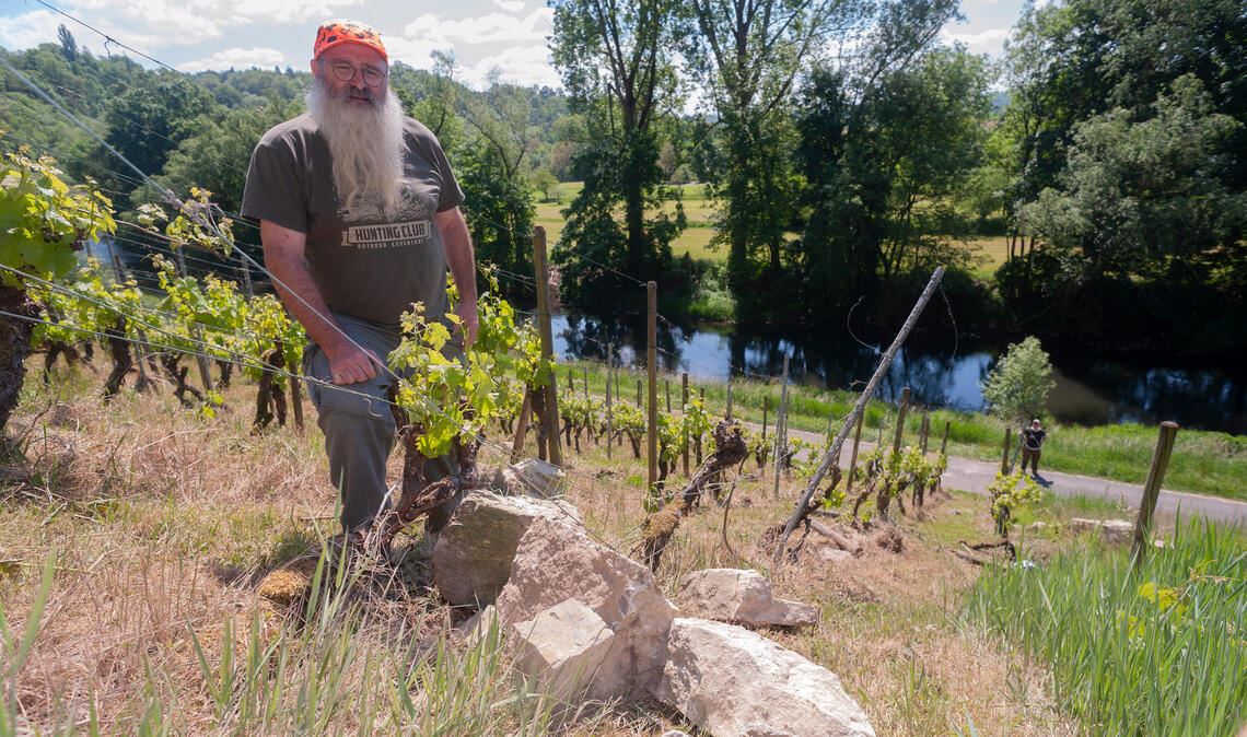 Karl-Georg Kärcher in seinem Weinberg am Fuß der Wand, in dem mächtige Brocken gelandet sind. Fotos: Fotomoment