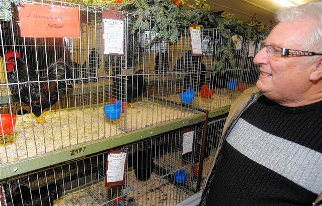 Prächtige Tiere machen Eindruck auf die Jury