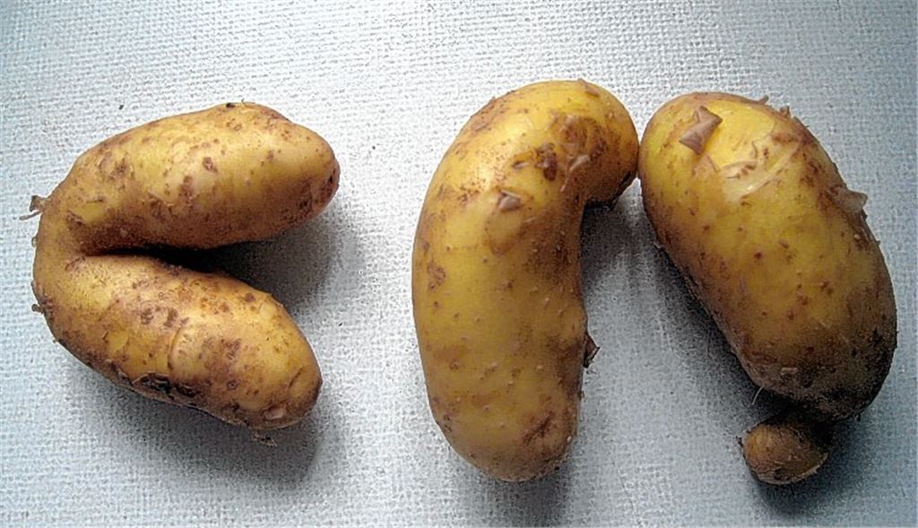 Frühlingsgefühle