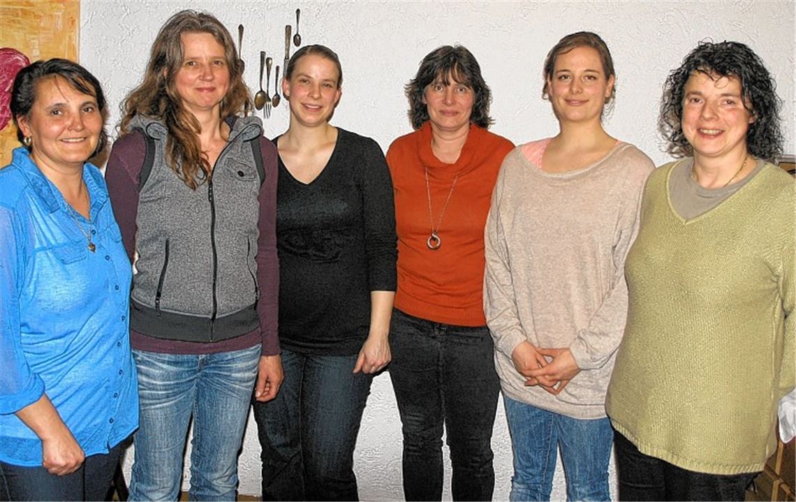 Katrin Kiontke, Christine Schäfer, Bärbel Zecha, Claudia Zimmermann, Antonia Schubert, Sandra Burger (v.li.) lenken von nun an die Geschicke von Pegasus Mühlacker. Foto: privat