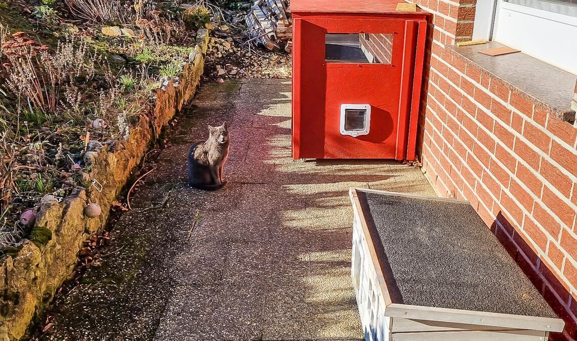 Katzenschutz mit Vorbildcharakter: Für Wildfang „Smokey“ und anderen Katzen steht ein eigenes Haus auf der Terrasse. Foto: privat