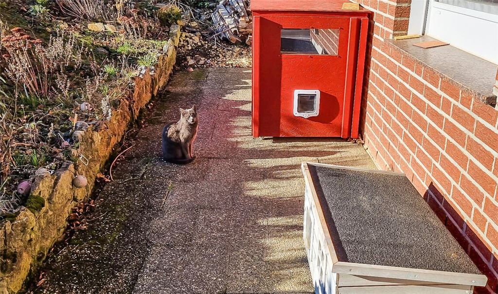Katzenschutz mit Vorbildcharakter: Für Wildfang „Smokey“ und anderen Katzen steht ein eigenes Haus auf der Terrasse. Foto: privat
