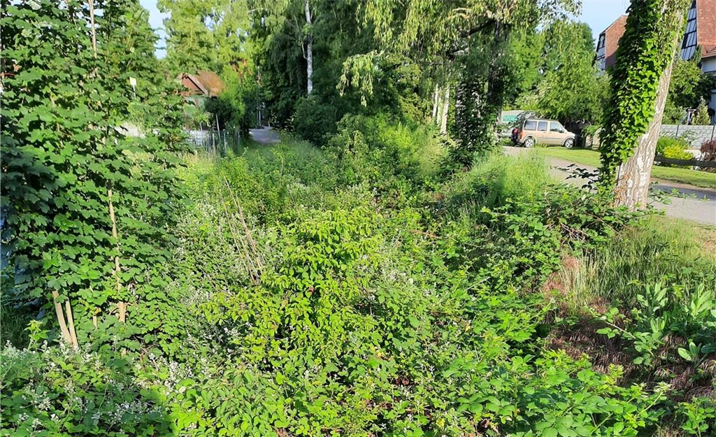Kaum zu erkennen: der Erlenbach in Ötisheim, fotografiert von einem besorgten Anlieger, der die Frage der Pflege und, damit verbunden, des Hochwasserschutzes aufwirft.privat