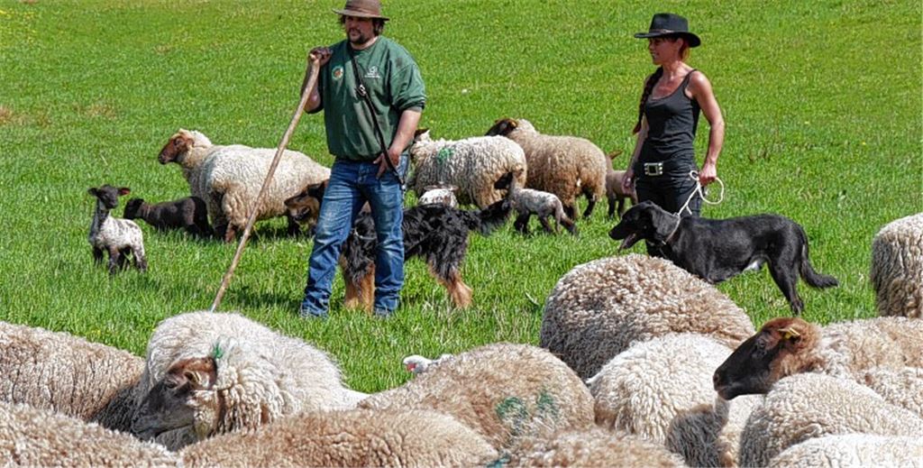 Rasenmäher der umweltfreundlichen Art