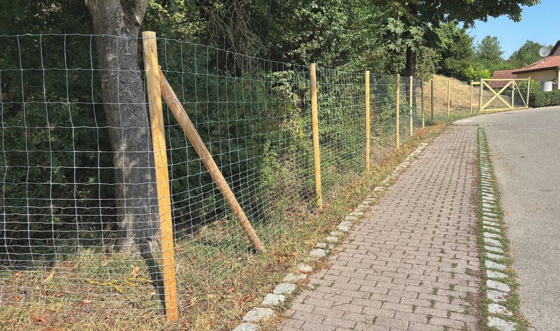 Kein Provisorium, sondern eine kostengünstige Sofortmaßnahme zum Schutz der Artenvielfalt: Der Zaun am Lärmschutzwall am Rand des Wohngebiets „Bannholz Nord“ in Mühlacker stößt nicht nur, aber auch wegen seiner Ausführung auf Kritik. Fotos: Schüller