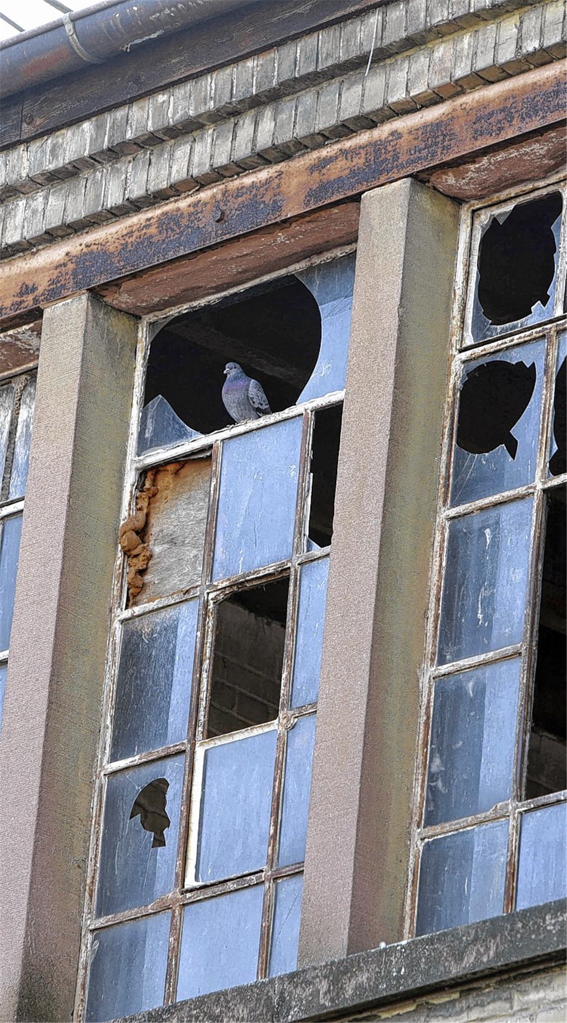Lederfabrik: Stadt stellt die Weichen