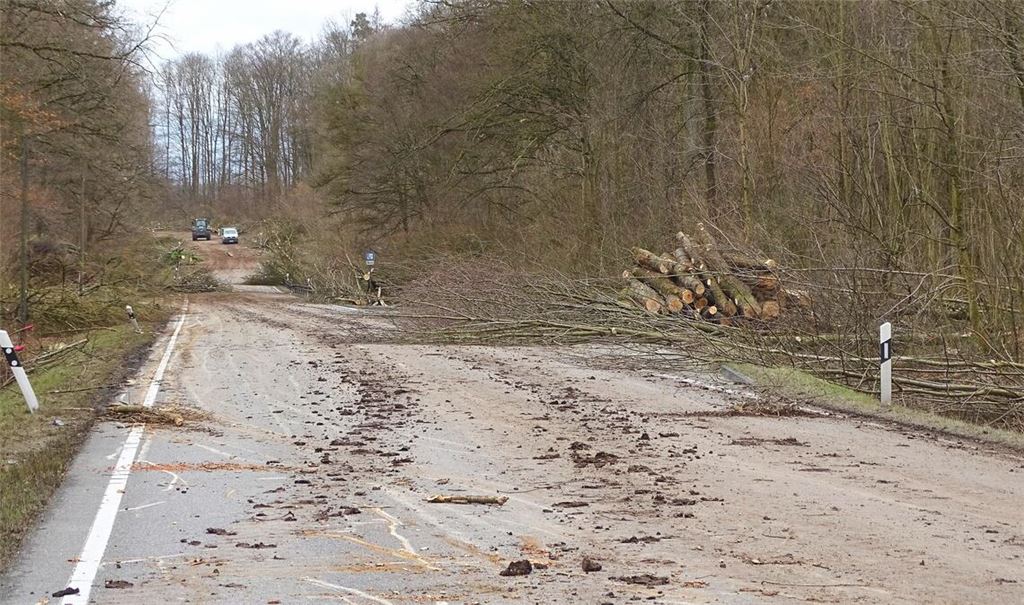Kein grundloser Kahlschlag: 2017 werden Teile der B35 gesperrt, um links und rechts der Straße Bäume und Äste als mögliche Gefahrenquellen zu entfernen. Fotos: Archiv/Landratsamt