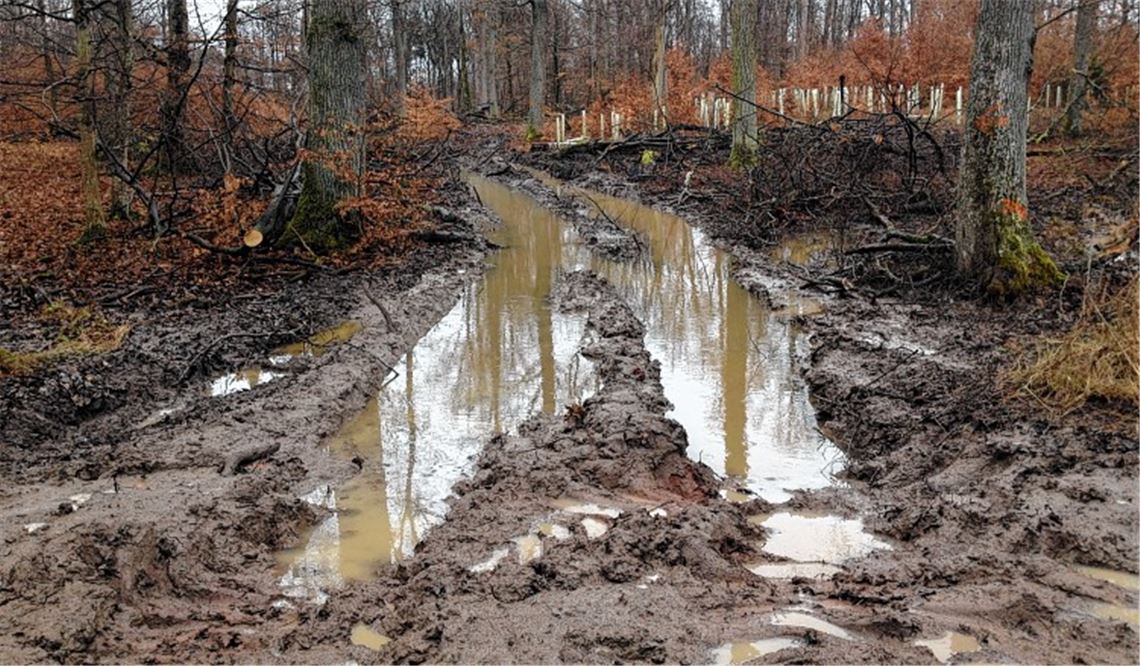Kein schöner Anblick: Jagdpächter Jürgen Uhlarz hat mit selbst geschossenen Fotos die Auswirkungen des Holzeinschlags im Wald bei Schmie festgehalten. Foto: privat