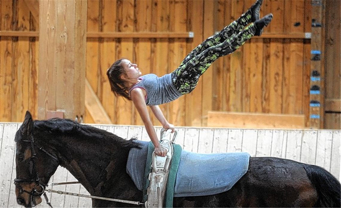 Mutprobe auf dem Rücken des Pferdes