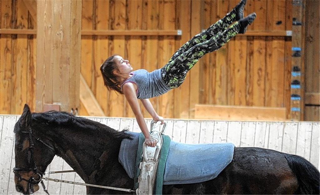 Mutprobe auf dem Rücken des Pferdes