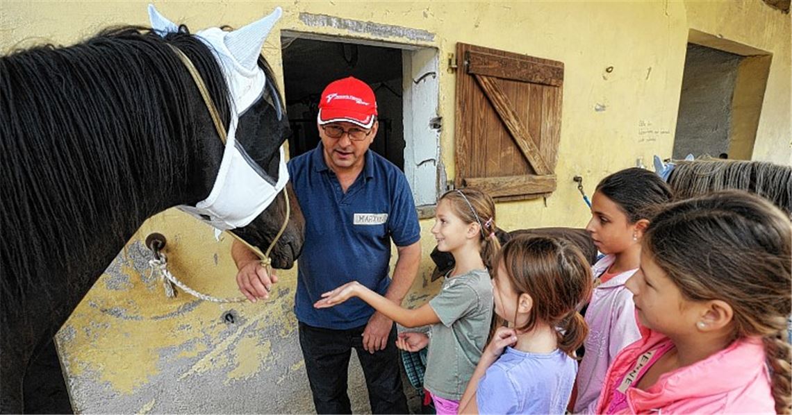 Keine Angst vor großen Tieren: Martin Münchinger stellt den Kindern am „Tag der Pferde“ seinen Kameraden Vino vor.