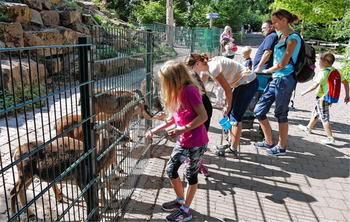 „Wir brauchen uns nicht zu verstecken“