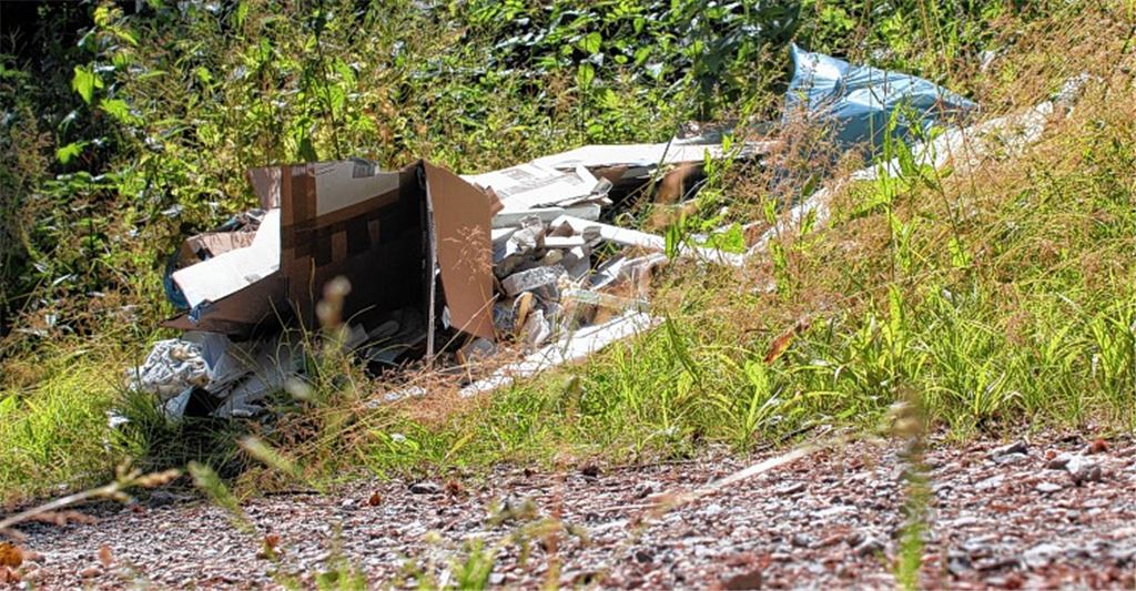 Keine Seltenheit: Häufig werden Abfälle einfach in den Wald gekippt. Förster Marco Heinrich vermutet dahinter Bequemlichkeit. 