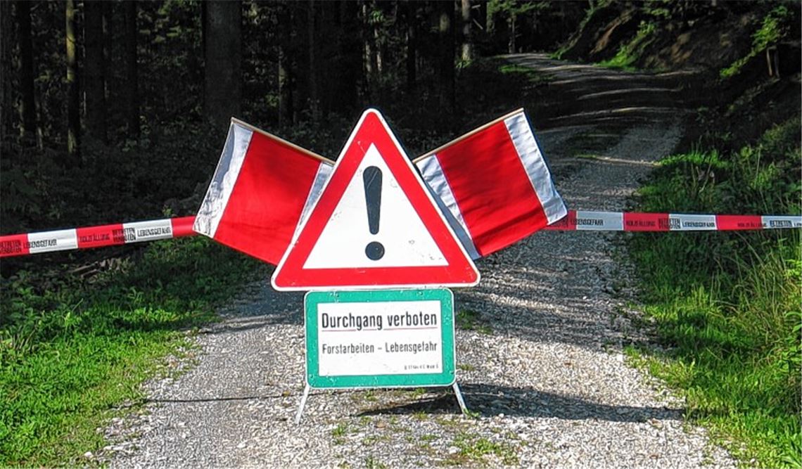 Keine Übertreibung: Wo Bäume gefällt werden, besteht Lebensgefahr. Waldbesucher sollten diese Schilder deshalb unbedingt beachten. Foto: privat