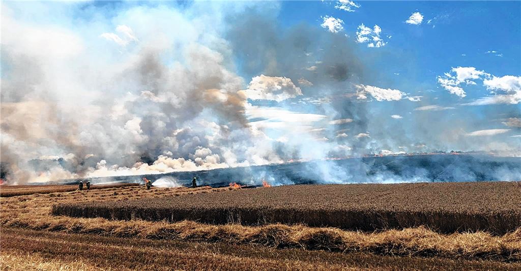 Keine alltägliche Dimension: Bei einem Flächenbrand am Montagmittag nahe Lienzingen breiten sich die vom Wind angefachten Flammen rasant über dreieinhalb Hektar aus.Fotomoment/privat