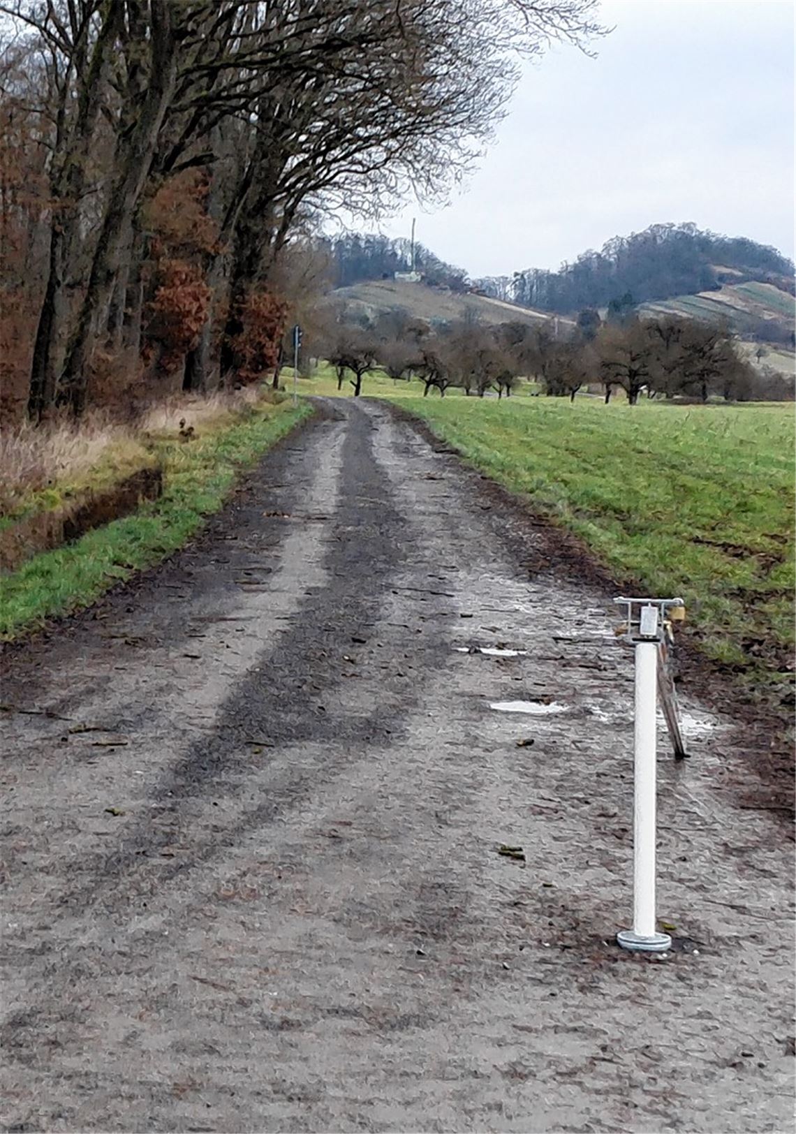 Häckselplatz: Bürger dürfen ausweichen