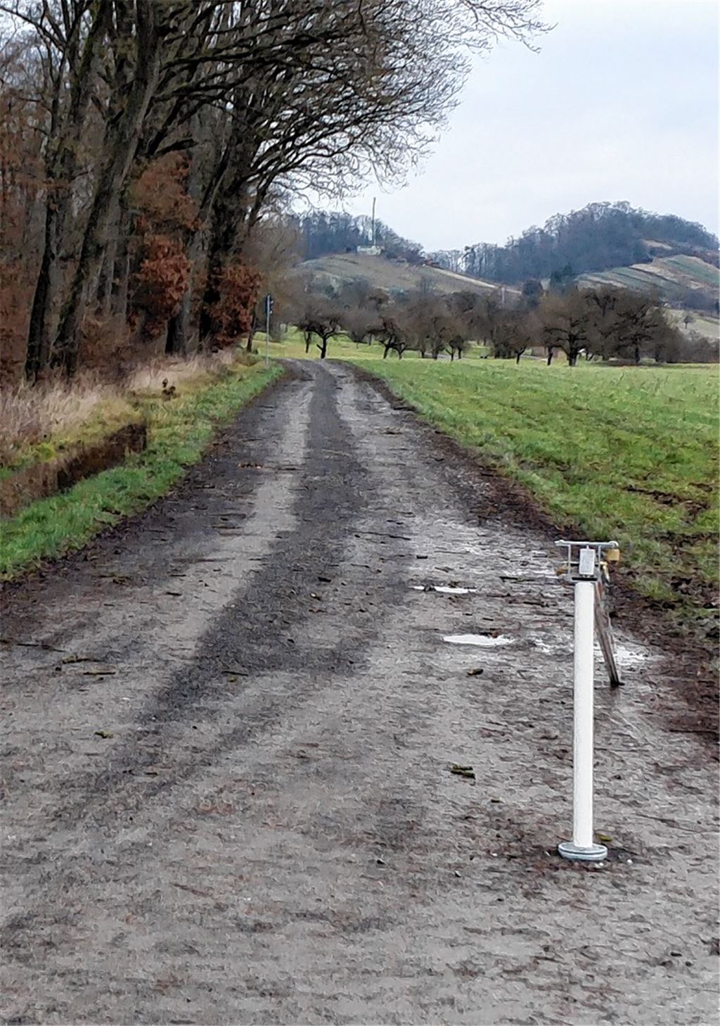 Häckselplatz: Bürger dürfen ausweichen