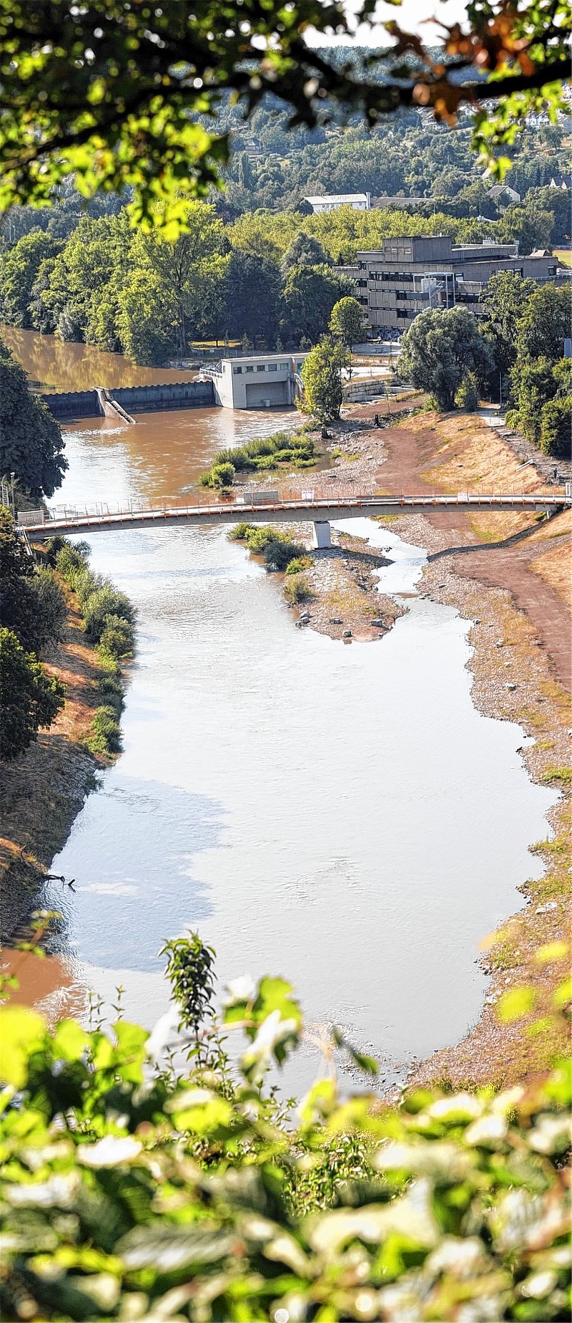 Keine reine Verschönerungsmaßnahme: Nur dank der Renaturierung der Enz kann die Stadt Mühlacker mit einem Millionen-Pfund auf ihrem Ökokonto wuchern.