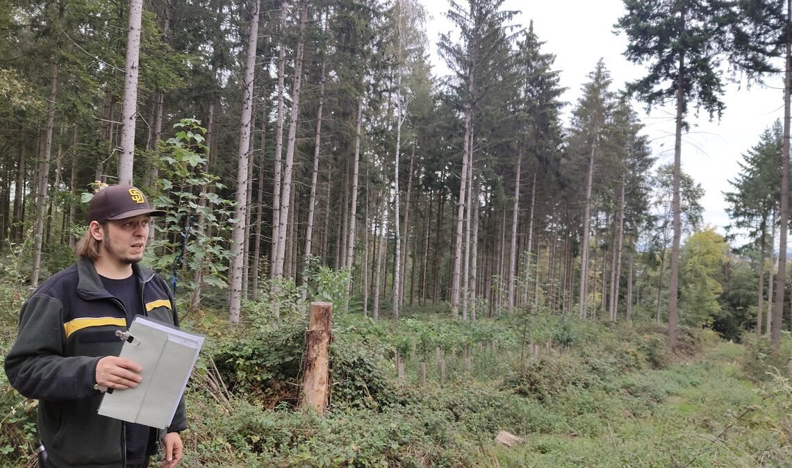 „Das wird eine Generationenaufgabe“ Kennt „seinen Wald“: Der neue Wiernsheimer Revierförster Alexander von Hanstein ist seit Jahresbeginn im Dienst. Foto: Deeg