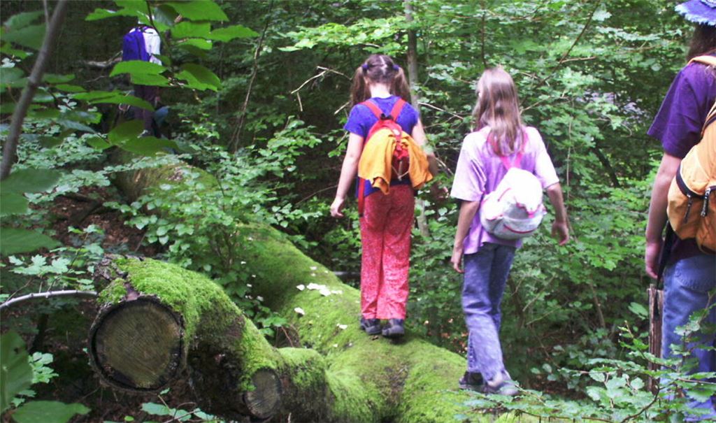 Kinder entdecken die Natur. Foto: privat