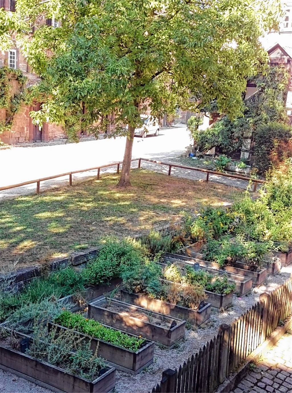 Kinder erleben das Gartenjahr