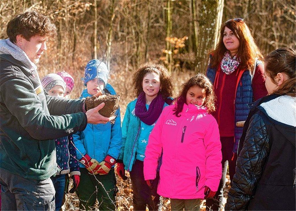 Kinder pflanzen Eichen