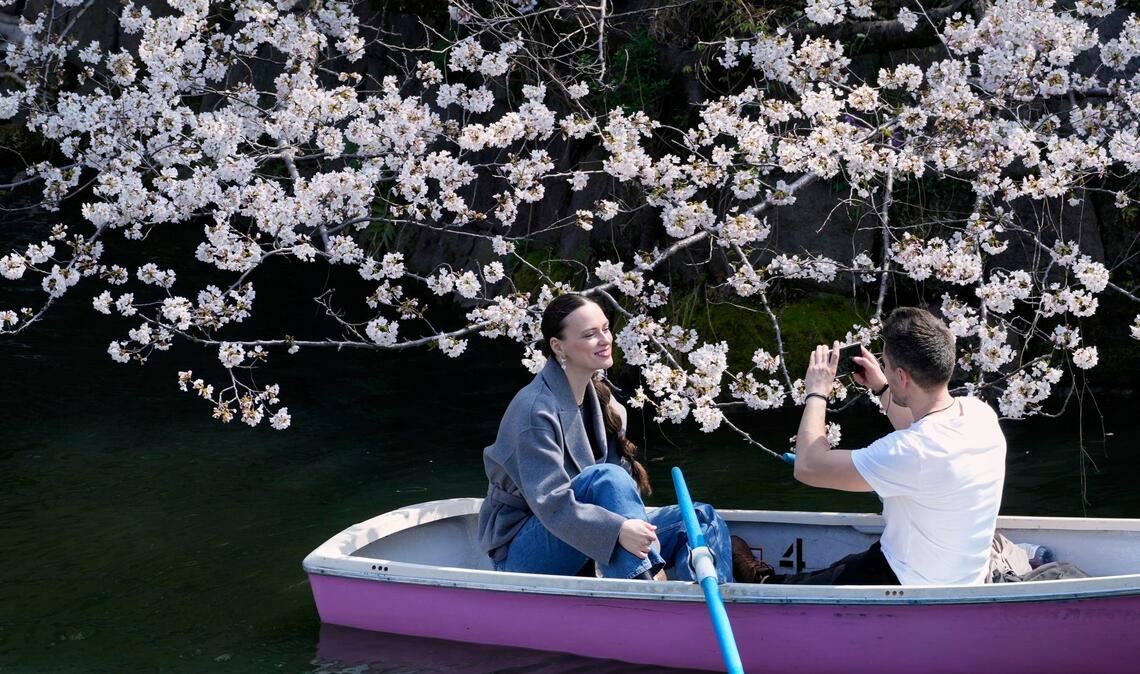 Kirschblüten über dem Wasser: Paar fährt im Boot am Chidorigafuchi-Palastgraben in Tokio, Japan