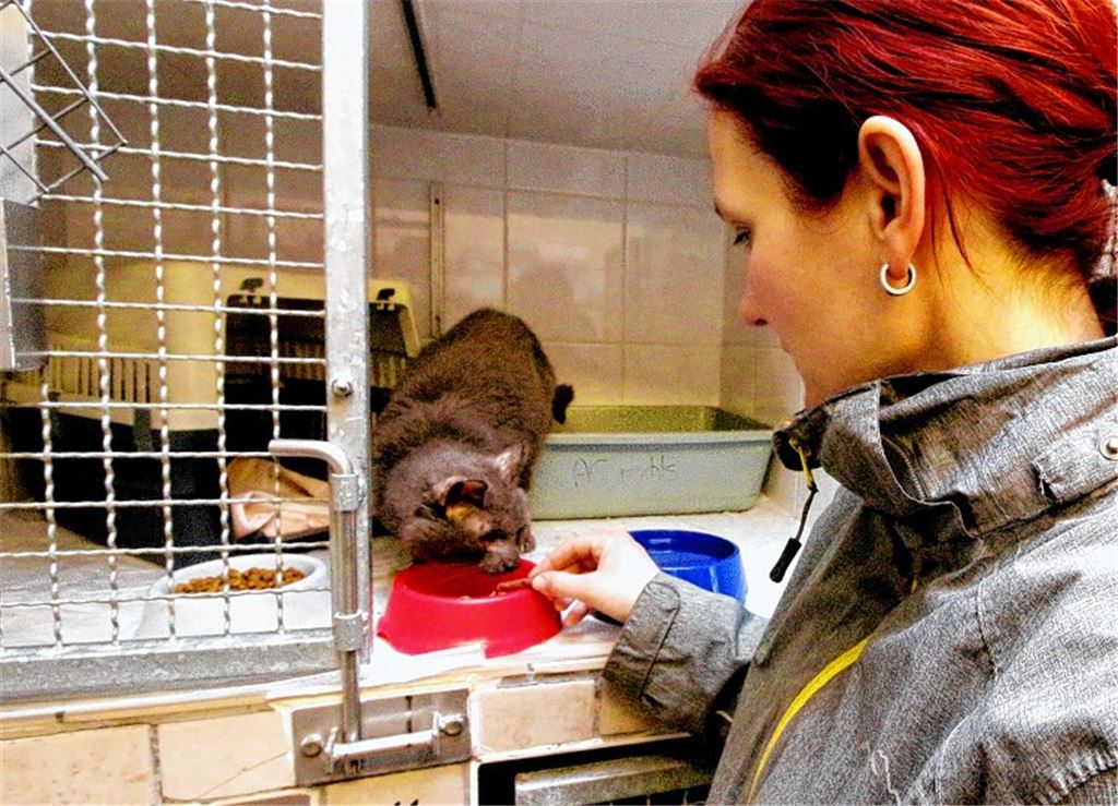 Kirsten Hinze, Leiterin des Tierheims Pforzheim, mit einer der geretteten Katzen.Wacker