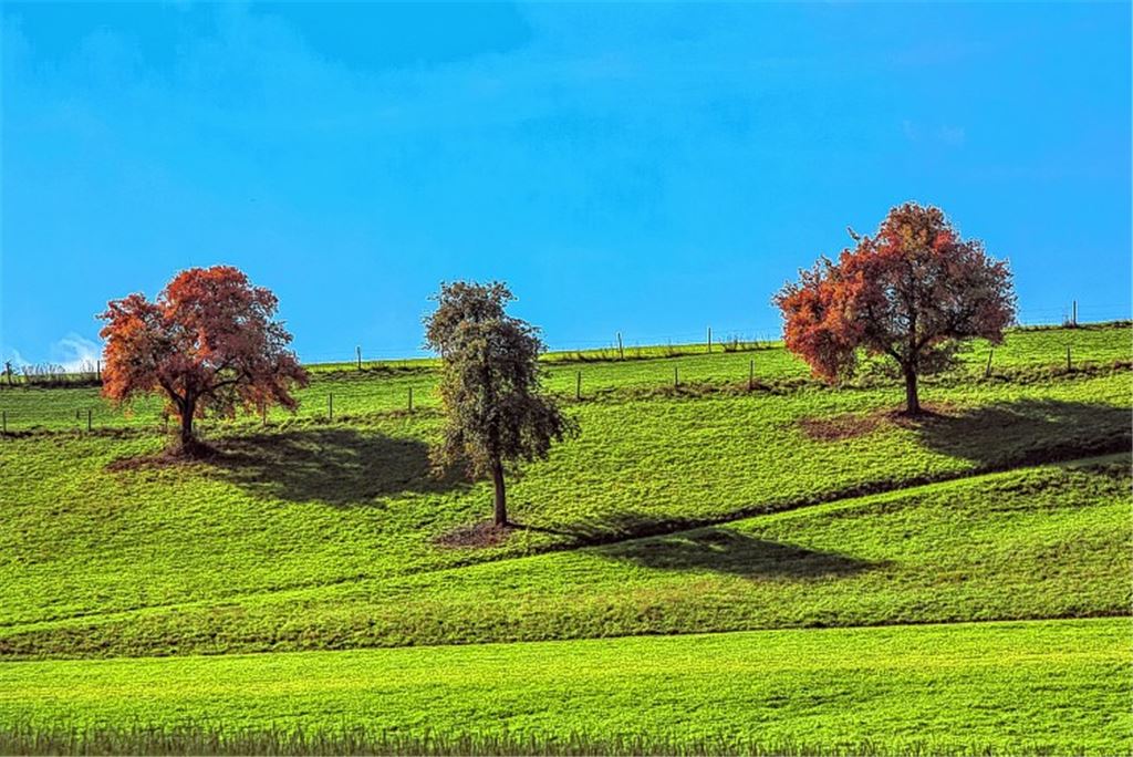 Herbstfarben