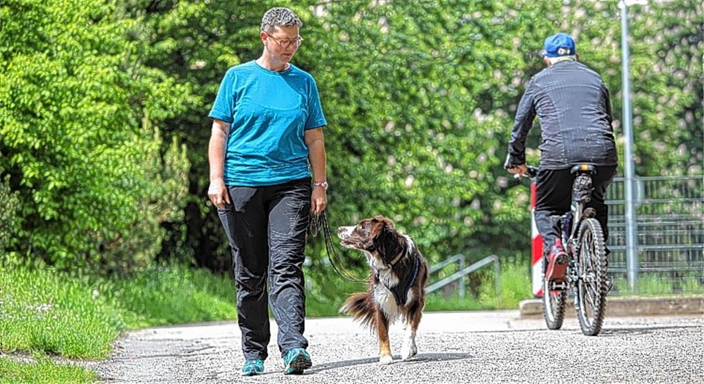 „Hundehalter muss die Kontrolle haben“
