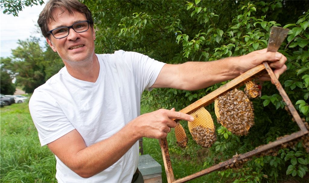 Klaus Hampel zeigt, wie Bienen Stück für Stück an Waben weiterbauen. Sie dienen zur Aufzucht von Larven und zur Lagerung von Honig und Pollen. Fotos: Fotomoment