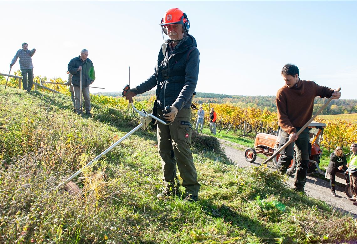 Klaus Rohde nutzt die Motorsense, um mit der Mahd zu beginnen.Fotomoment