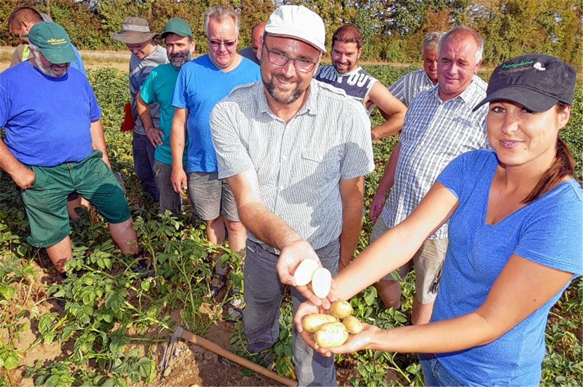Klein, aber fein: Die Berater Mark Mitschke und Corinna Fuchs präsentieren bei der Felderbegehung in Friolzheim die Kartoffelsorte Regina, die unter dem trockenen Sommer gelitten hat. Im Hintergrund Landwirt Jürgen Böhmler, der seine Ware mit dem Werbeslogan „tolle Knolle“ vermarktet.